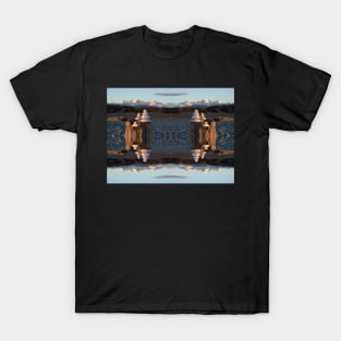 Rocks and Wood T-Shirt